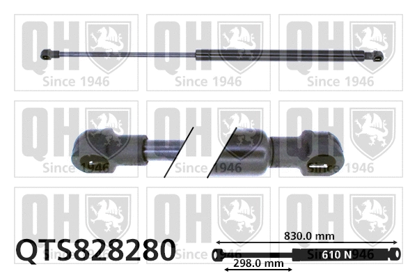 Gas Spring, boot/cargo area (QTS828280)
