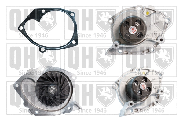 Water Pump, engine cooling (QCP3718)