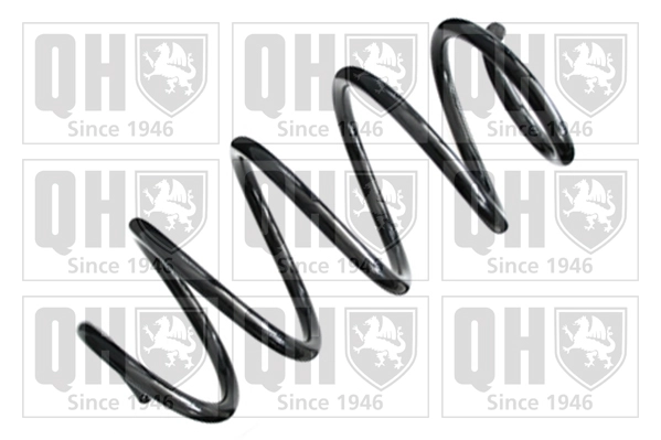 Suspension Spring (QCS8289)