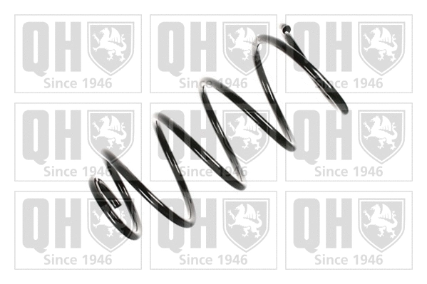 Suspension Spring (QCS5038)