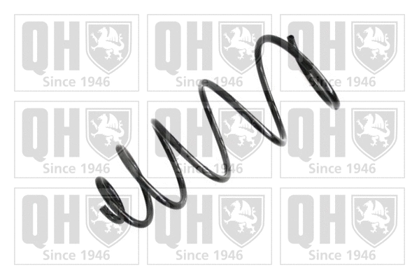 Suspension Spring (QCS8134)