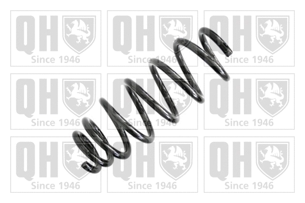 Suspension Spring (QCS5661)