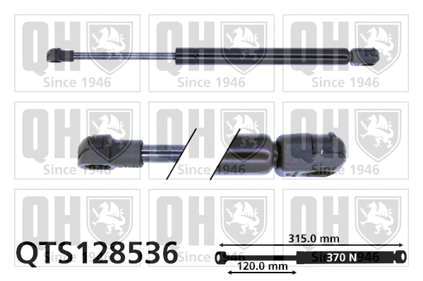 Gas Spring, boot/cargo area (QTS128536)