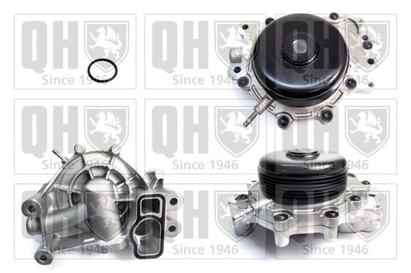 Water Pump, engine cooling (QCP3799BH)