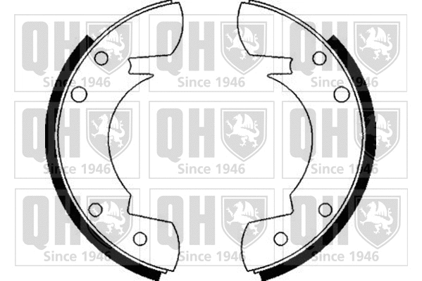 Brake Shoe Set (BS528)