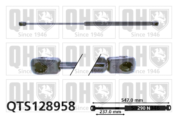 Gas Spring, boot/cargo area (QTS128958)