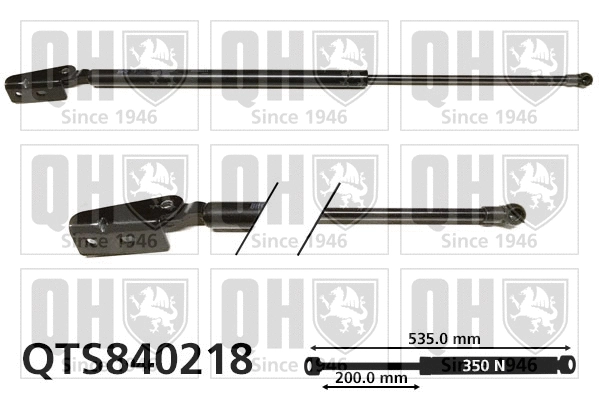 Gas Spring, boot/cargo area (QTS840218)