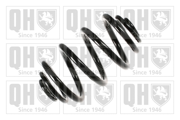 Suspension Spring (QCS7344)