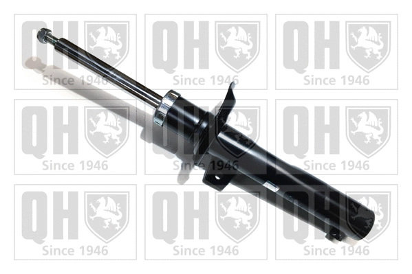 Shock Absorber (QAG178991)
