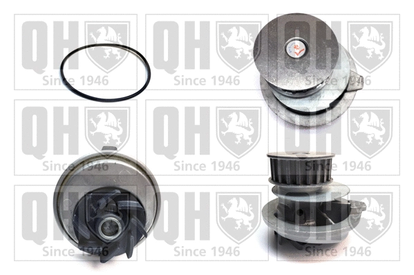 Water Pump, engine cooling (QCP2512)