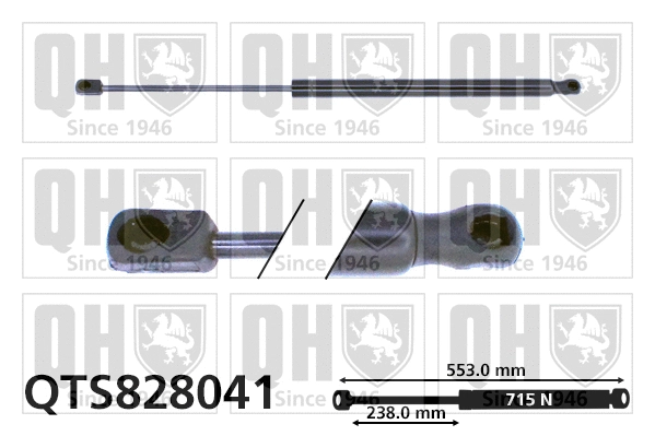 Gas Spring, boot/cargo area (QTS828041)