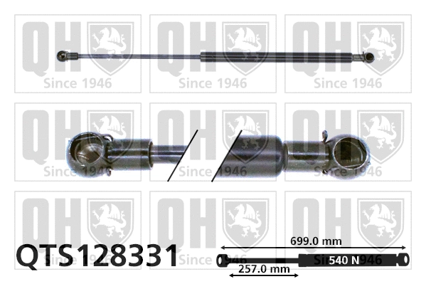 Gas Spring, boot/cargo area (QTS128331)