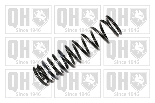 Suspension Spring (QCS6048)