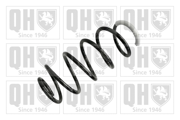Suspension Spring (QCS6091)