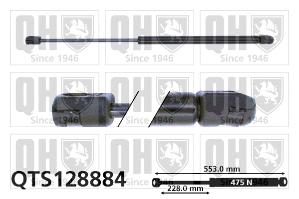 Gas Spring, boot/cargo area (QTS128884)