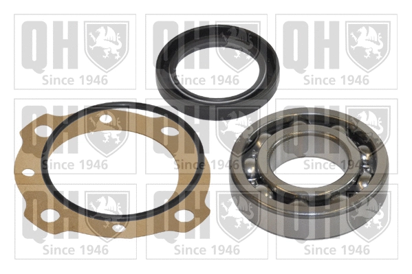 Wheel Bearing Kit (QWB128C)