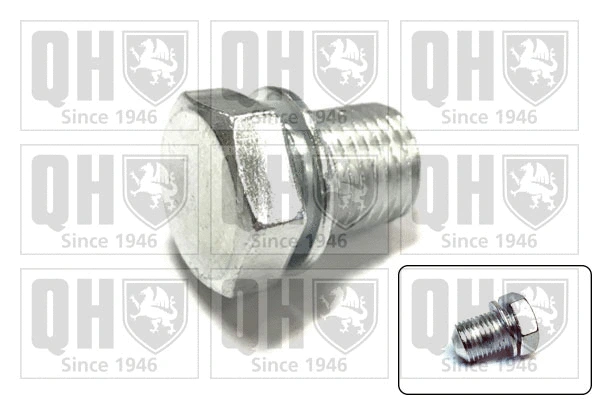 Screw Plug, oil sump (QOC1016)
