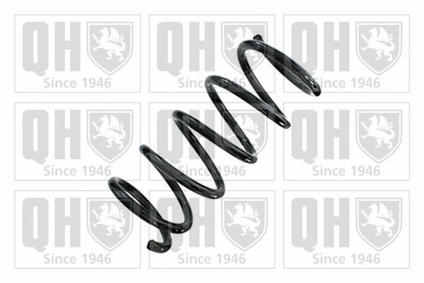 Suspension Spring (QCS8842)