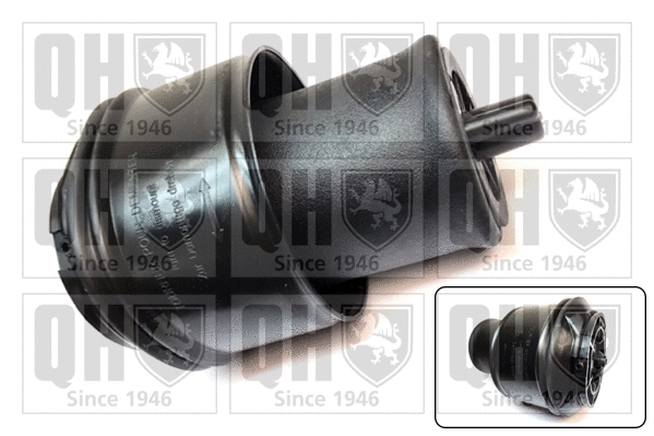 Air Spring, suspension (EMR4878)