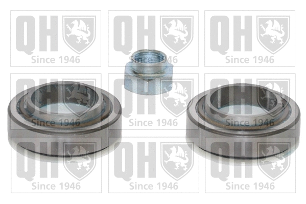 Wheel Bearing Kit (QWB696)
