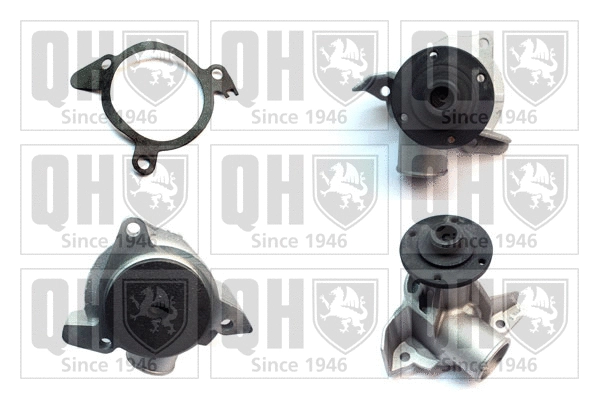 Water Pump, engine cooling (QCP1375)