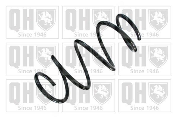 Suspension Spring (QCS8642)