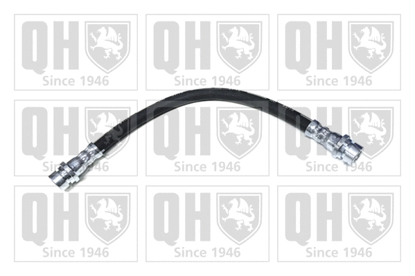 Brake Hose (BFH6173)