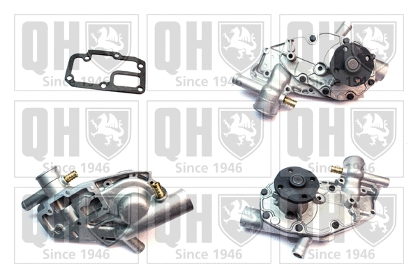 Water Pump, engine cooling (QCP769BH)