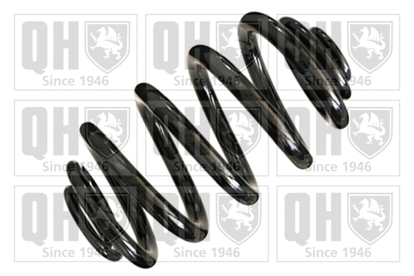 Suspension Spring (QCS8255)