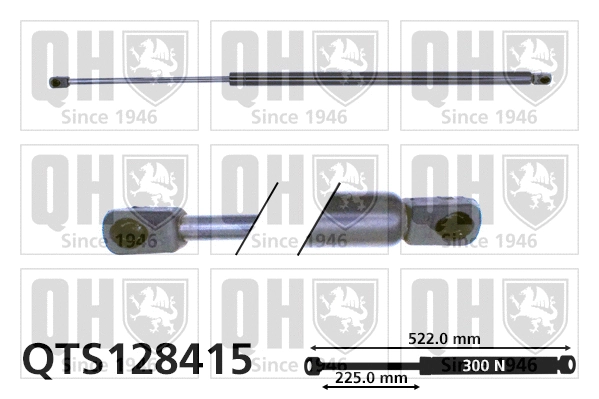 Gas Spring, boot/cargo area (QTS128415)