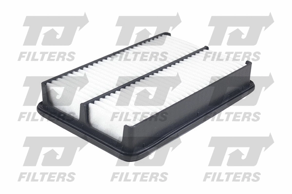Air Filter (QFA0778)