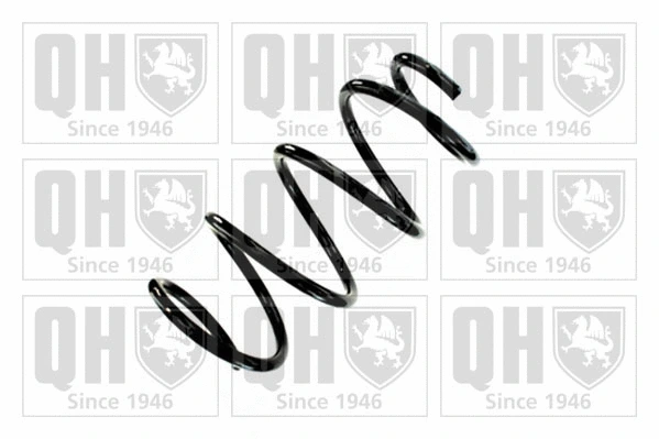Suspension Spring (QCS9107)