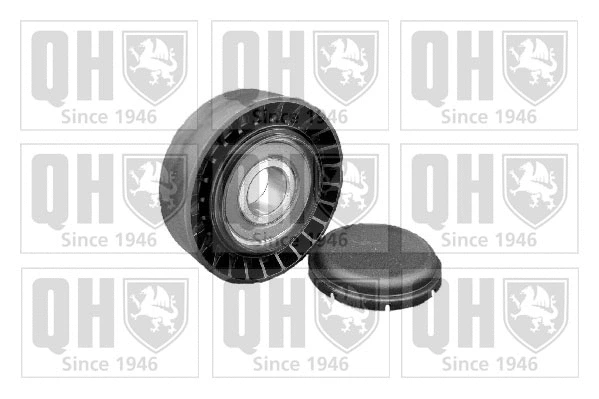 Tensioner Pulley, V-ribbed belt (QTA848)