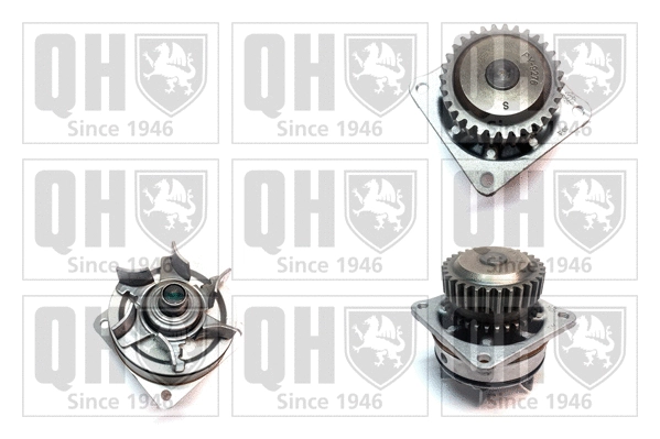 Water Pump, engine cooling (QCP3689)