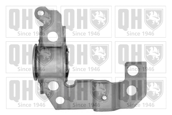 Mounting, control/trailing arm (EMS8034)