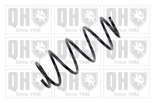 Suspension Spring (QCS5886)