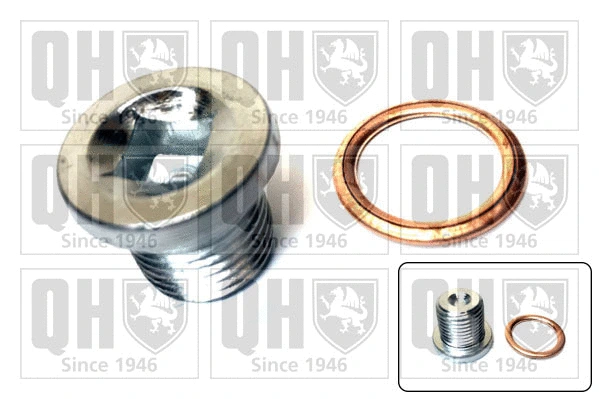 Screw Plug, oil sump (QOC1003)