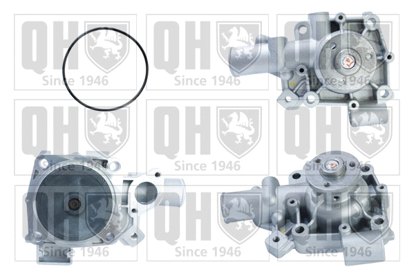 Water Pump, engine cooling (QCP3110)