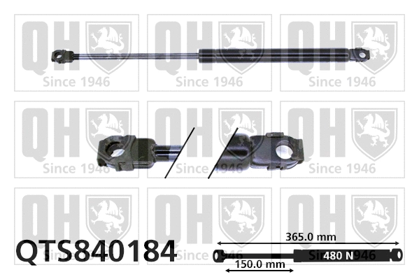 Gas Spring, boot/cargo area (QTS840184)