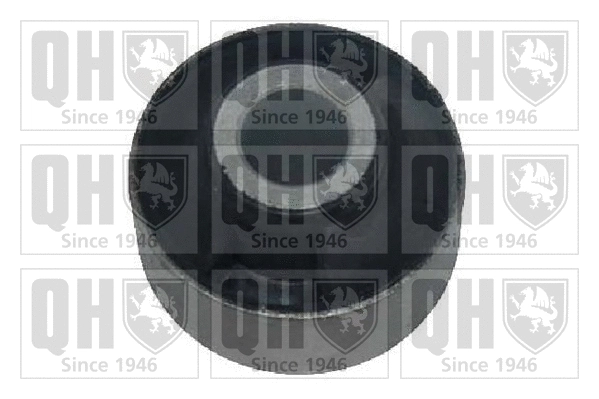 Mounting, control/trailing arm (EMS8525)