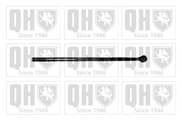 Eyebolt, tie rod (QR5007S)