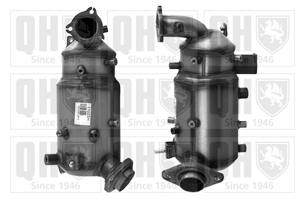 Soot/Particulate Filter, exhaust system (QDPF11025H)