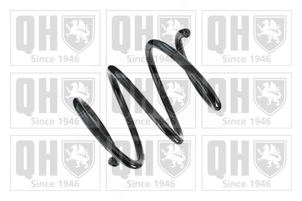 Suspension Spring (QCS8622)