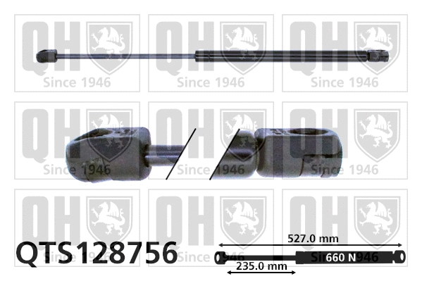 Gas Spring, boot/cargo area (QTS128756)
