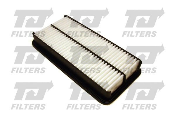 Air Filter (QFA0575)