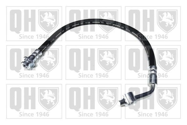 Brake Hose (BFH6166)
