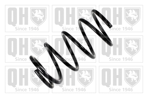 Suspension Spring (QCS5909)