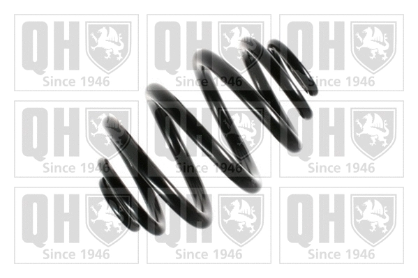 Suspension Spring (QCS5124)