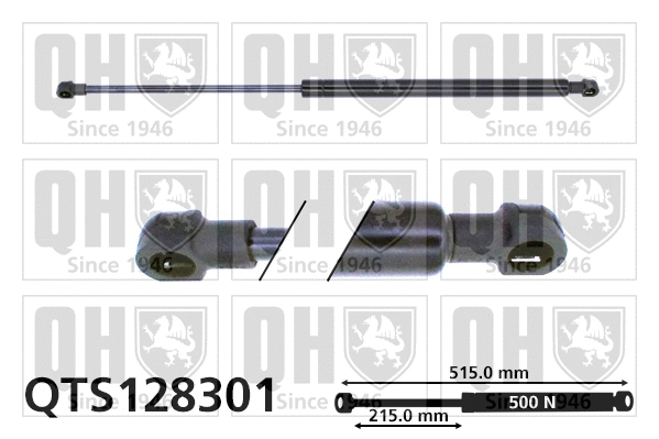 Gas Spring, boot/cargo area (QTS128301)