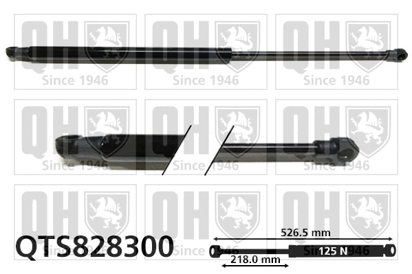 Gas Spring, rear window (QTS828300)